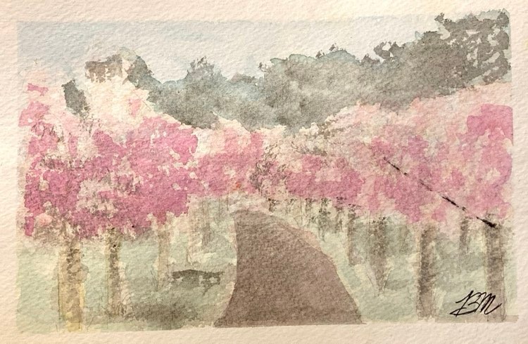 Blossom field
